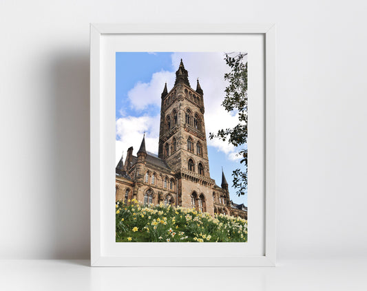 Glasgow University Photography Print Daffodil Art