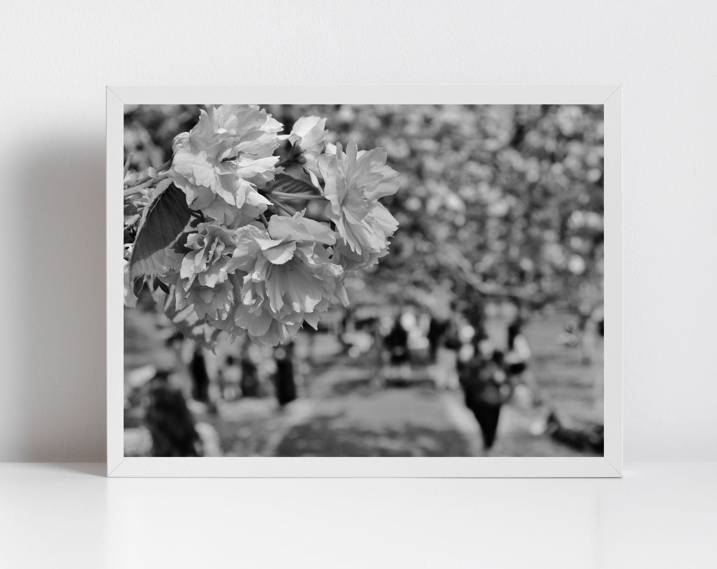 Cherry Blossom Print Greenwich Park London Black And White Photography
