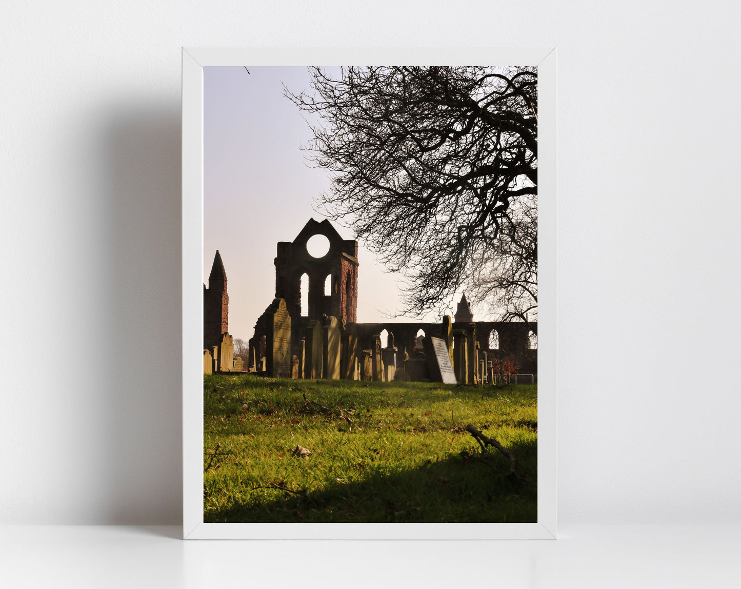 Arbroath Abbey Photography Print