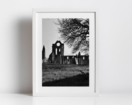 Arbroath Abbey Black And White Photography Print