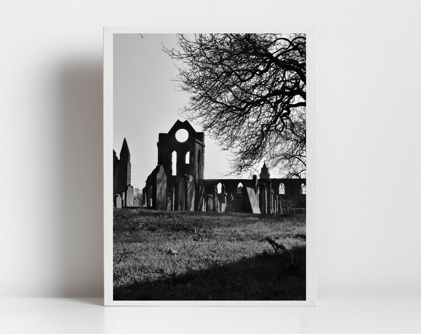 Arbroath Abbey Black And White Photography Print