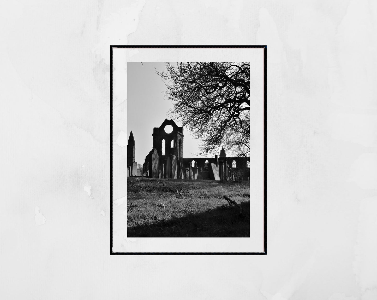 Arbroath Abbey Black And White Photography Print