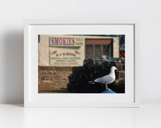 Arbroath Scotland Black And White Photography Print Seagull Wall Art