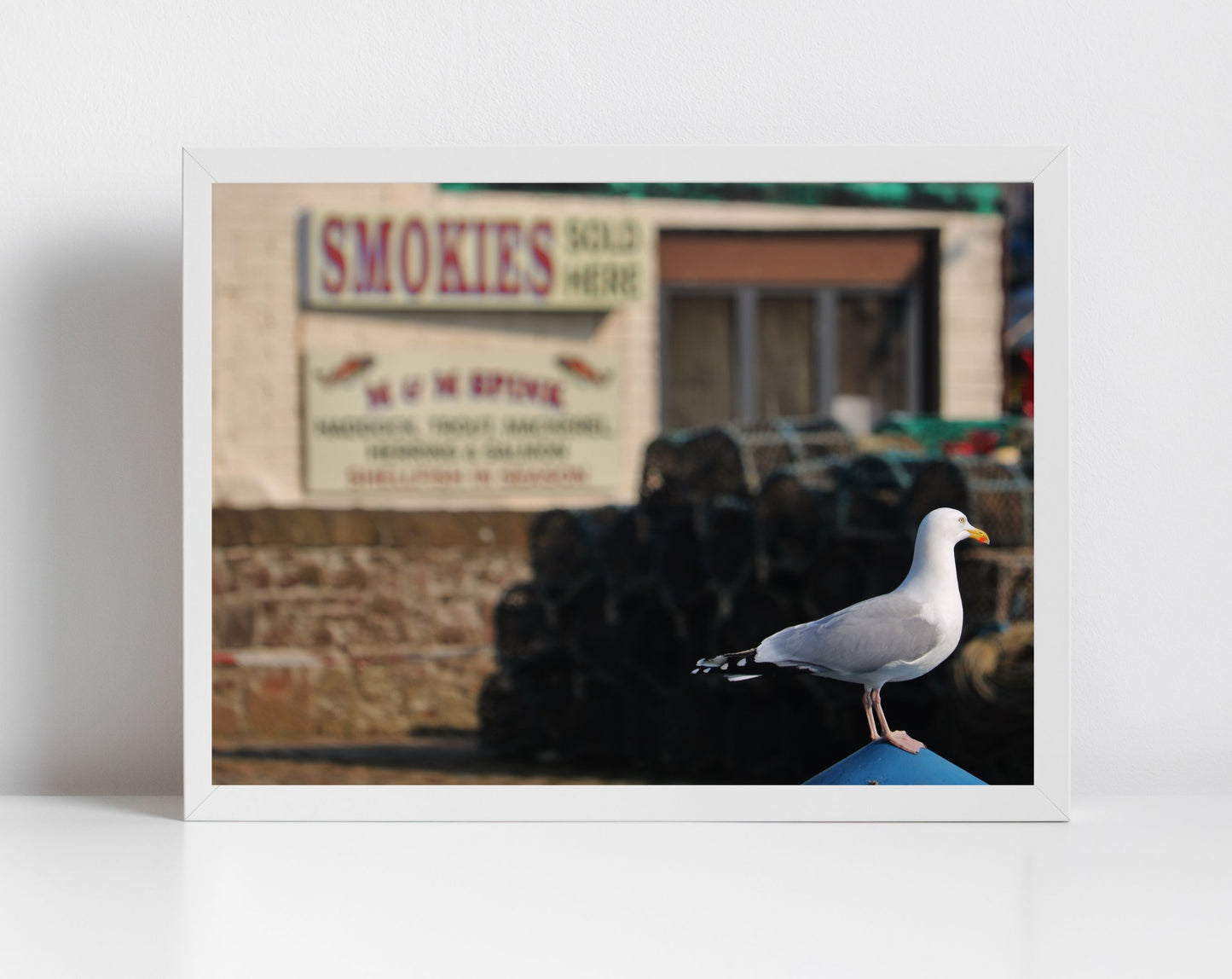 Arbroath Scotland Photography Print Seagull Wall Art