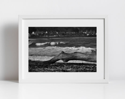 Arbroath Scotland Black And White Photography Print Coastal Wall Art (Copy)