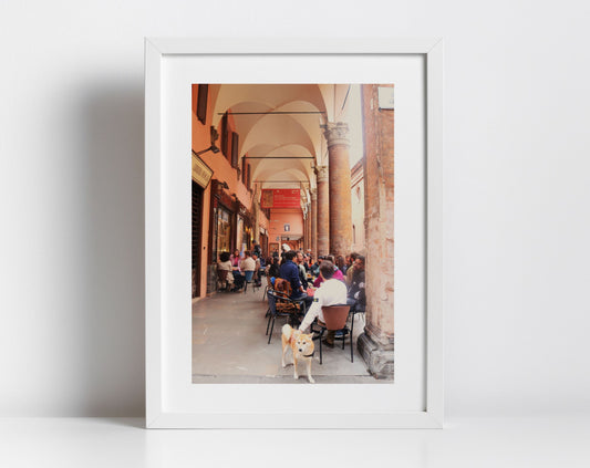Bologna Italy Dog Photography Print