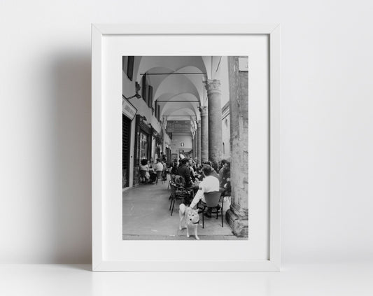 Bologna Italy Dog Black And White Photography Print