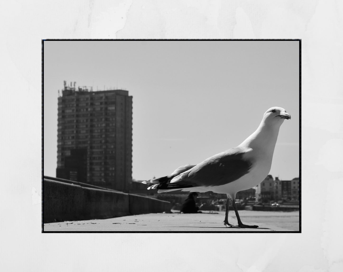 Margate Black And White Photography Print Seagull Wall Art