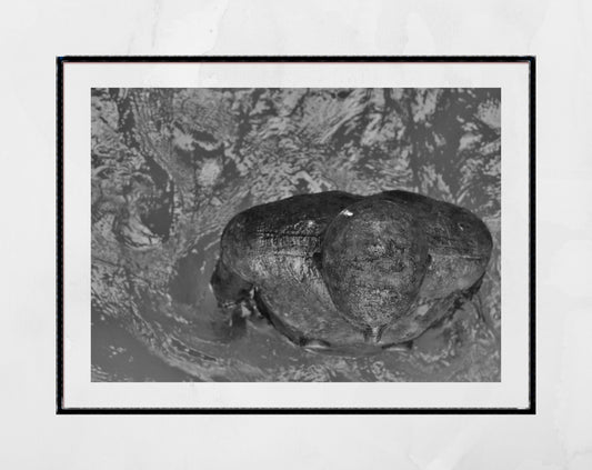 Folkestone Antony Gormley Black And White Photography Print