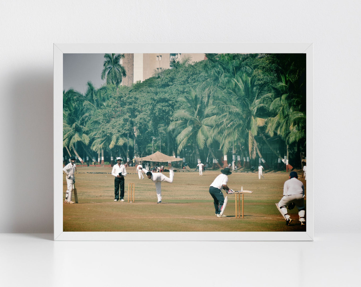 India Cricket Poster Mumbai Oval Maidan