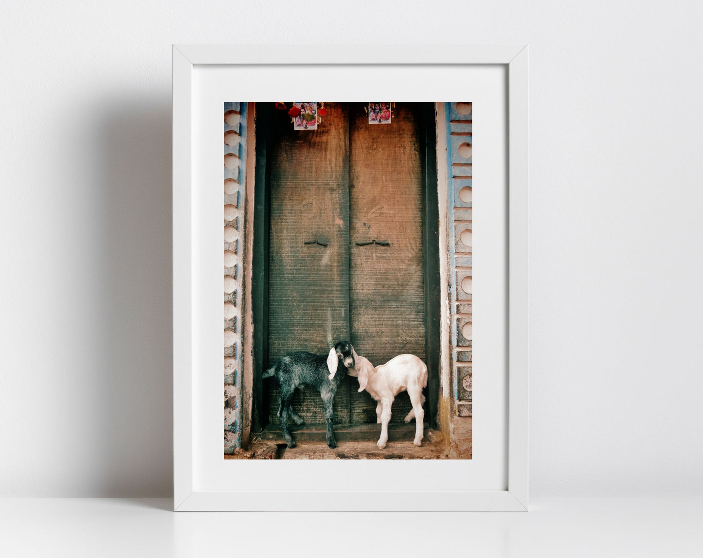 Goat Photography Varanasi India Wall Art