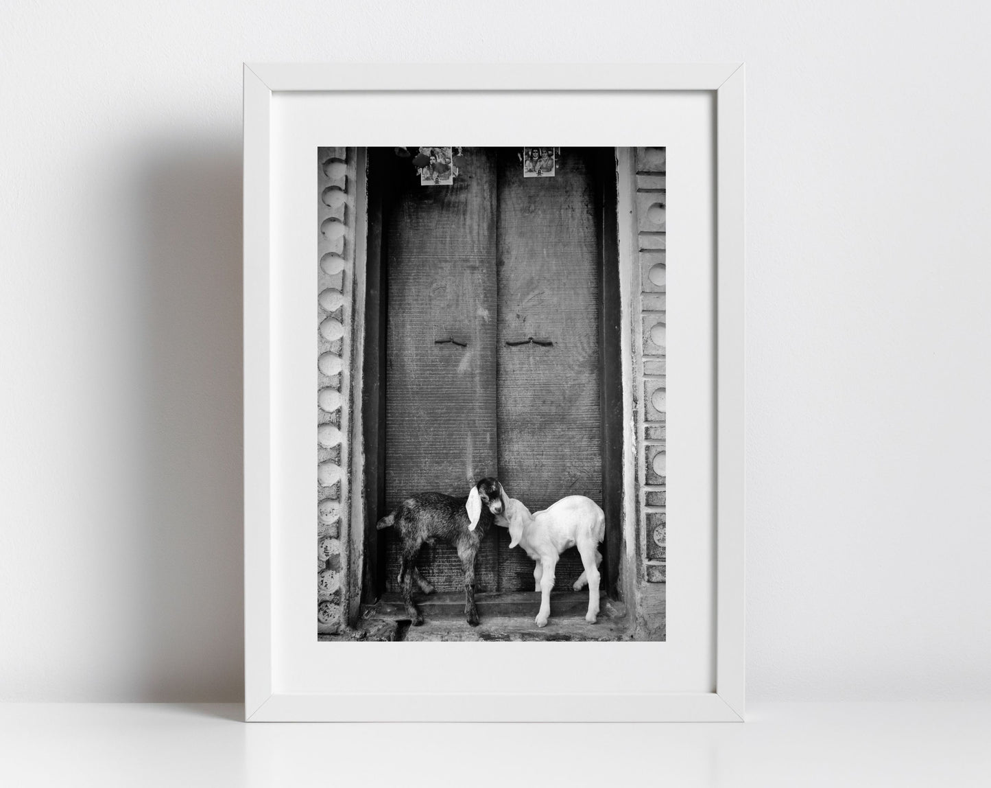 Goat Picture Black And White Varanasi India Poster