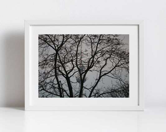 Berlin TV Tower Photography Print