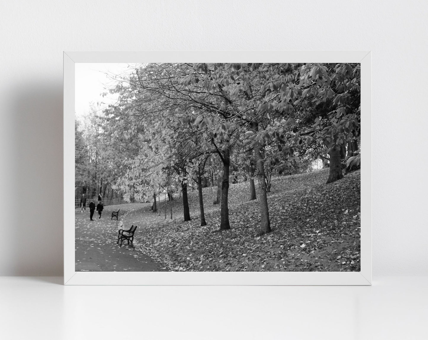 Kelvingrove Park Glasgow Black And White Photography Print