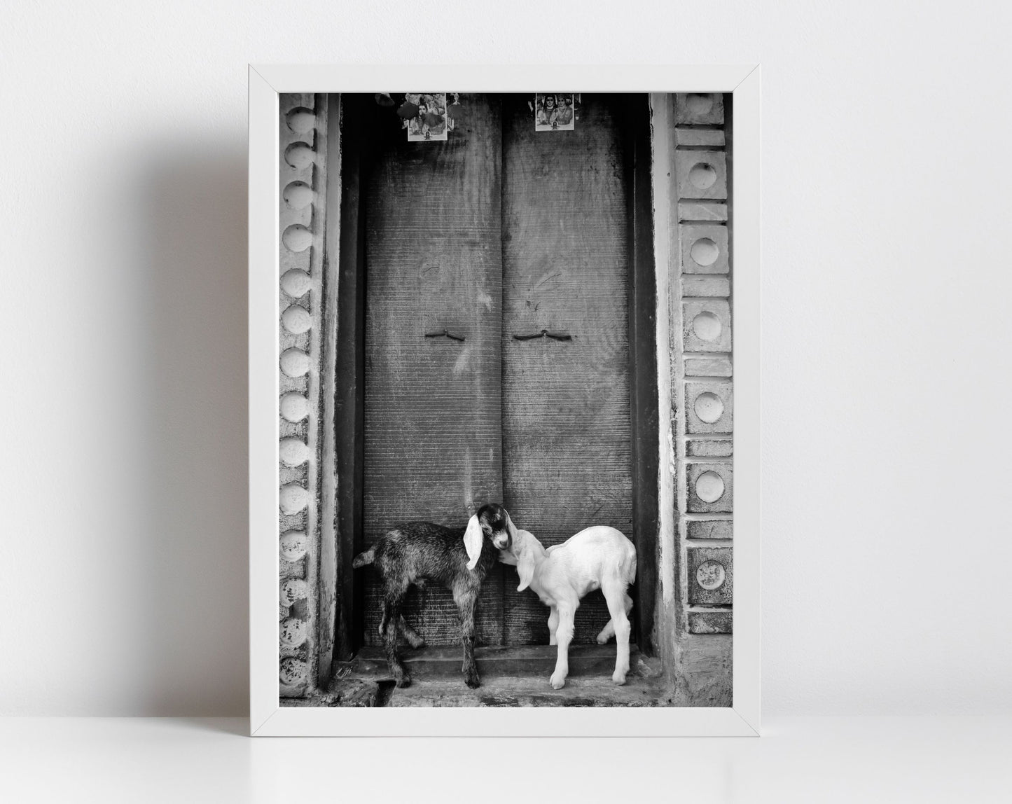 Goat Picture Black And White Varanasi India Poster