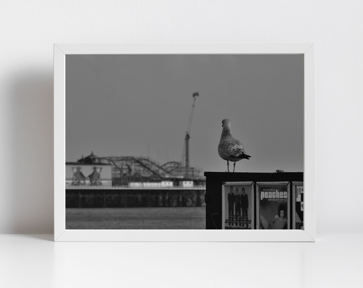 Brighton Palace Pier Photography Black And White Seagull Art