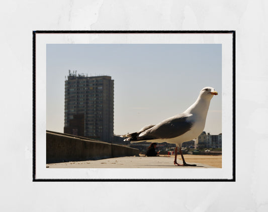 Margate Photography Print Seagull Wall Art