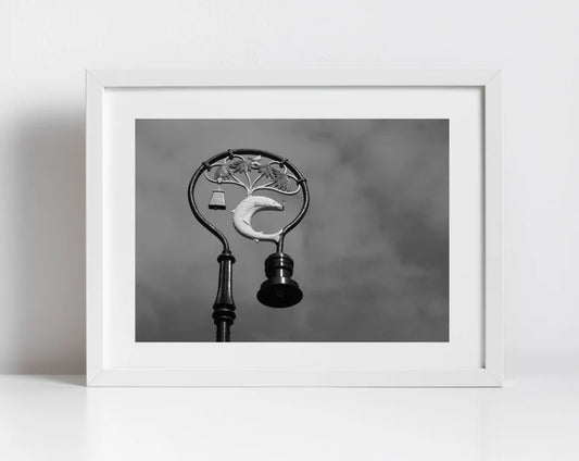 Glasgow Coat Of Arms Photography Print