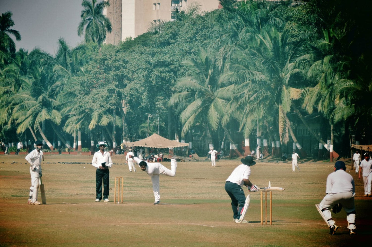 India Cricket Poster Mumbai Oval Maidan