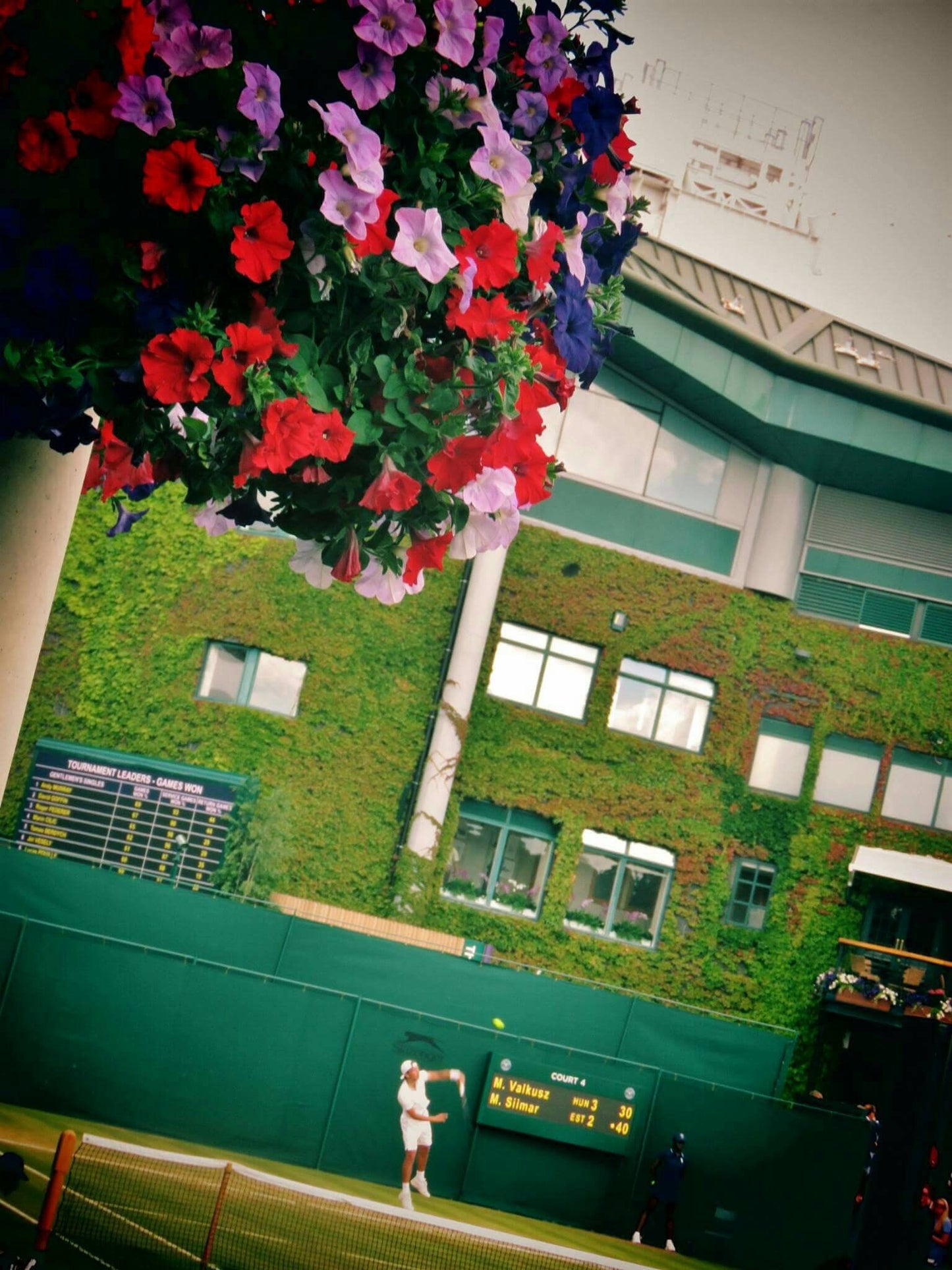 Wimbledon Tennis Poster Print