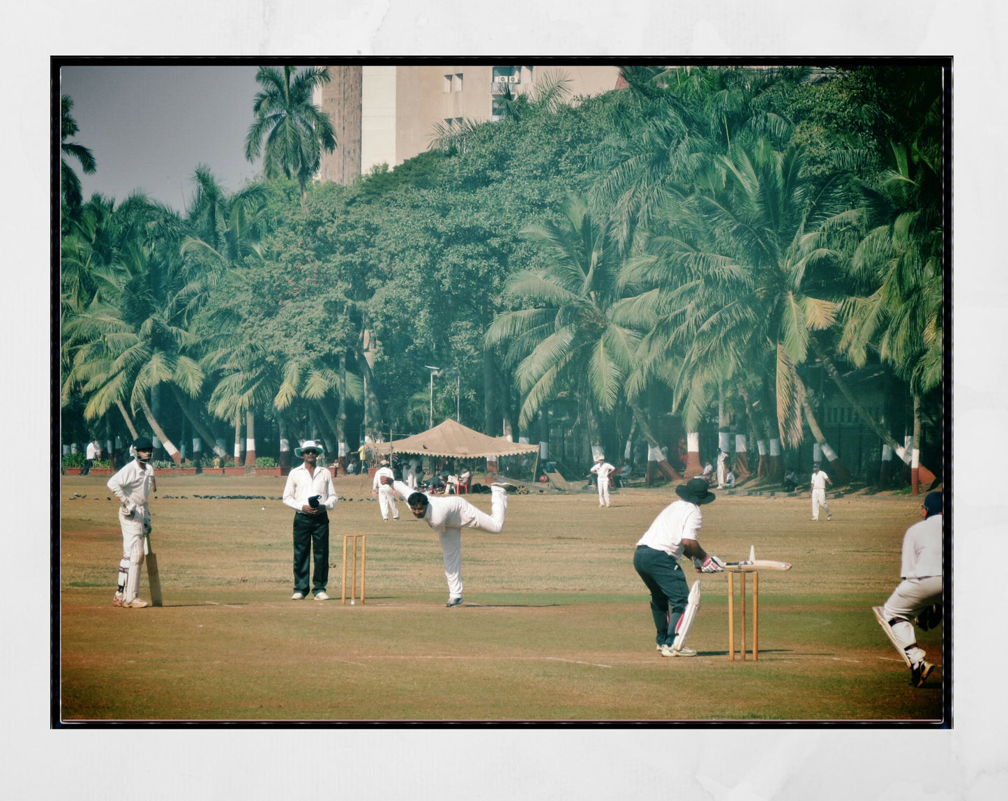 India Cricket Poster Mumbai Oval Maidan