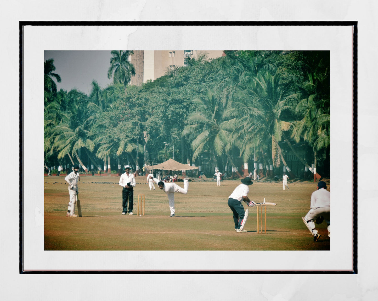India Cricket Poster Mumbai Oval Maidan
