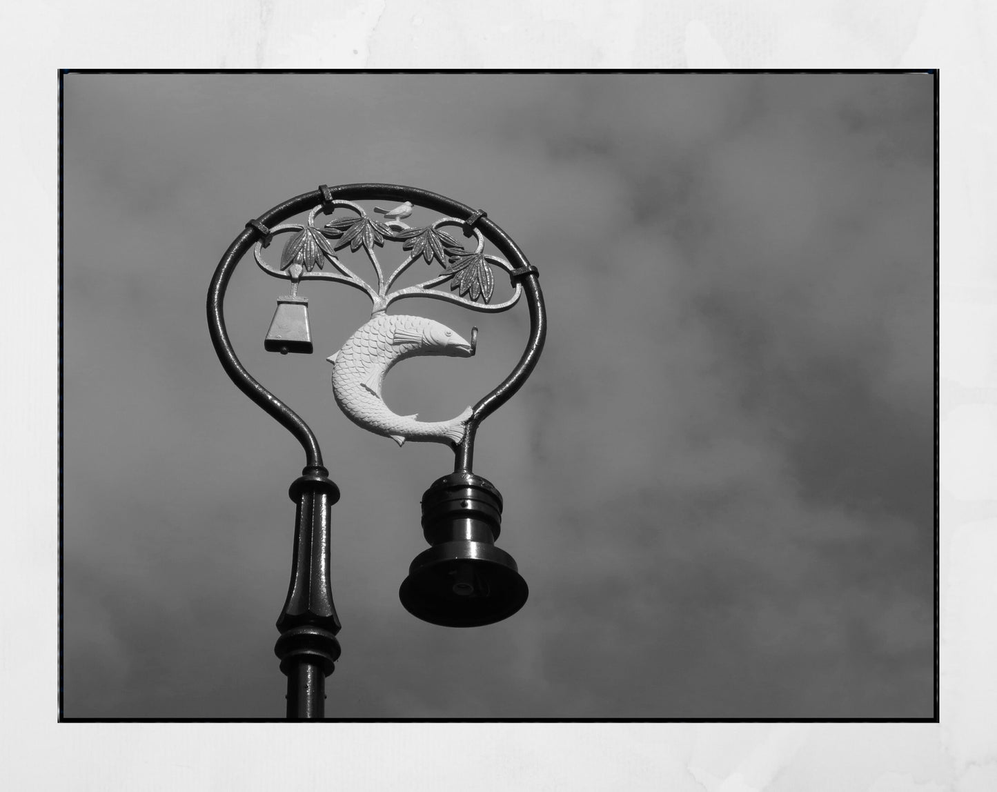 Glasgow Coat Of Arms Photography Print