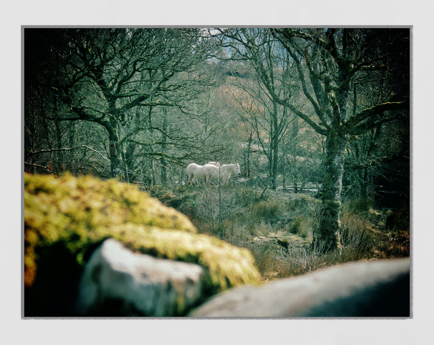White Horse Knoydart Scotland Photography Print