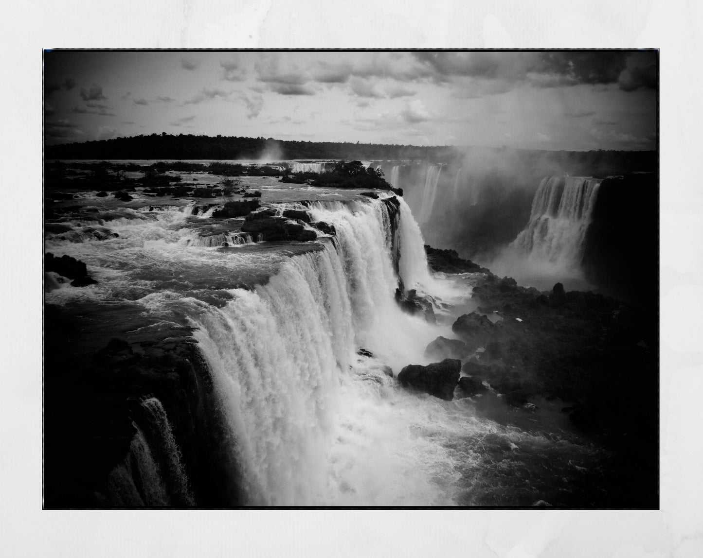 Iguazu Falls Wildlife Photography Print