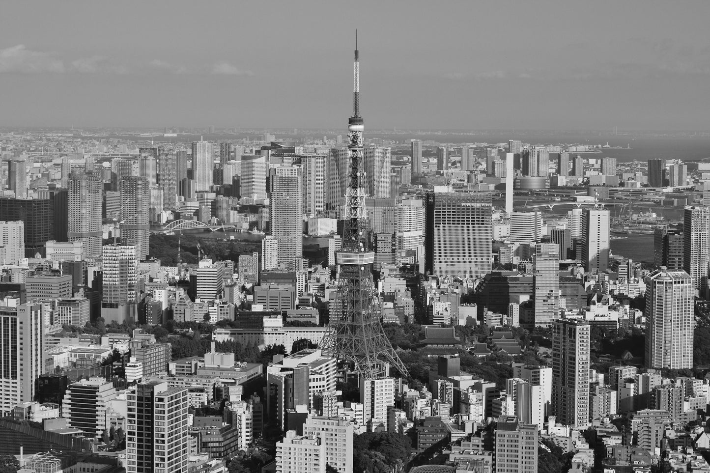 Tokyo Tower Skyline Poster Black And White Photography Print