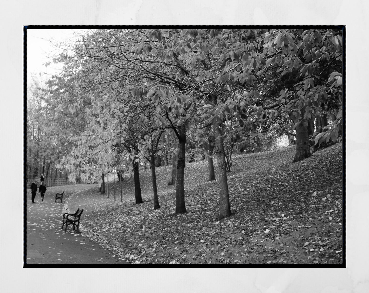 Kelvingrove Park Glasgow Black And White Photography Print