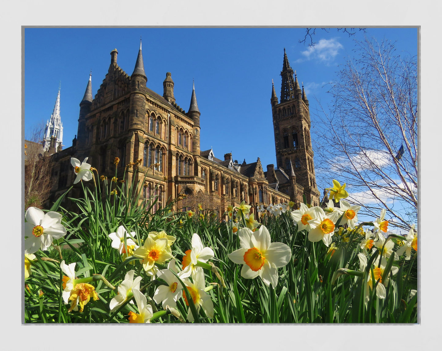 Glasgow University Spring Wall Art