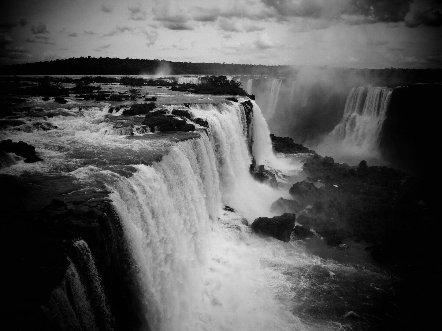 Iguazu Falls Wildlife Photography Print