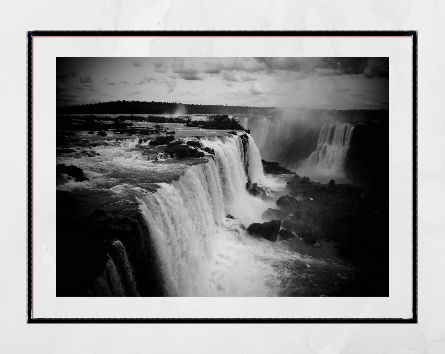 Iguazu Falls Wildlife Photography Print
