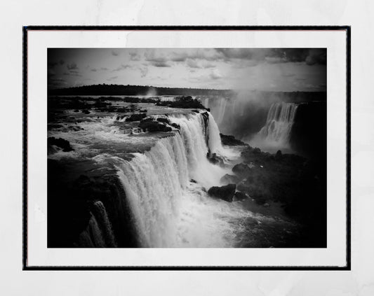 Iguazu Falls Wildlife Photography Print