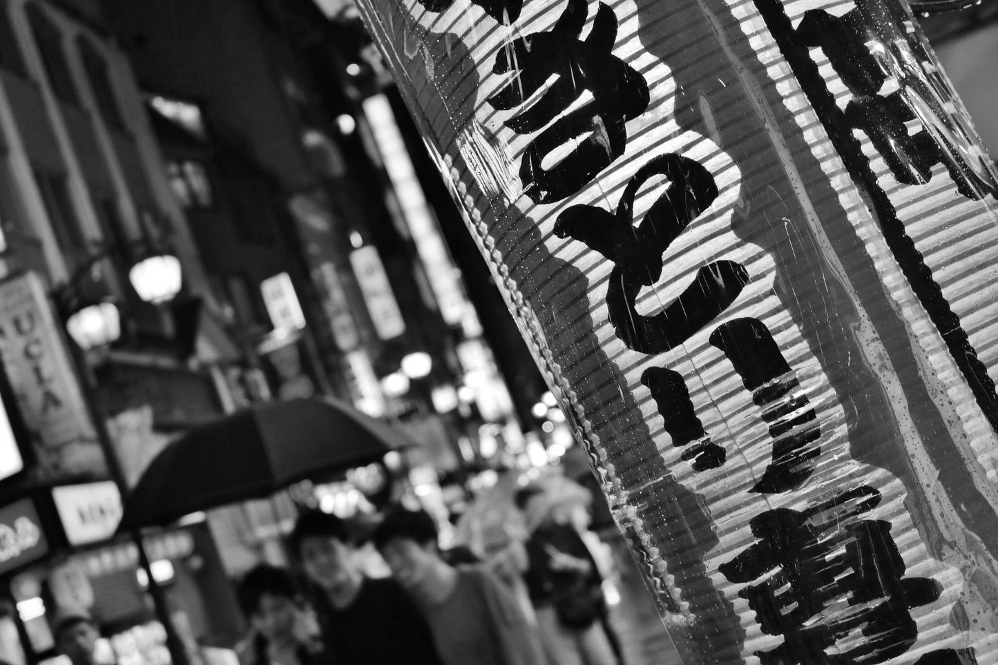 Kichijoji Tokyo Japanese Lantern Black And White Photography