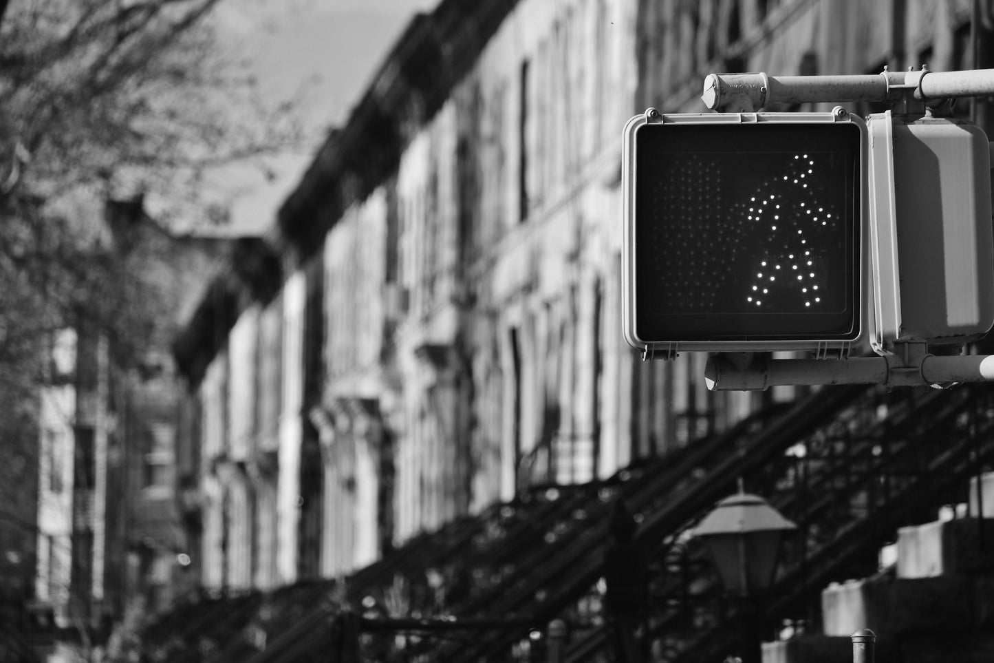 New York Photography Brooklyn Brownstones Print