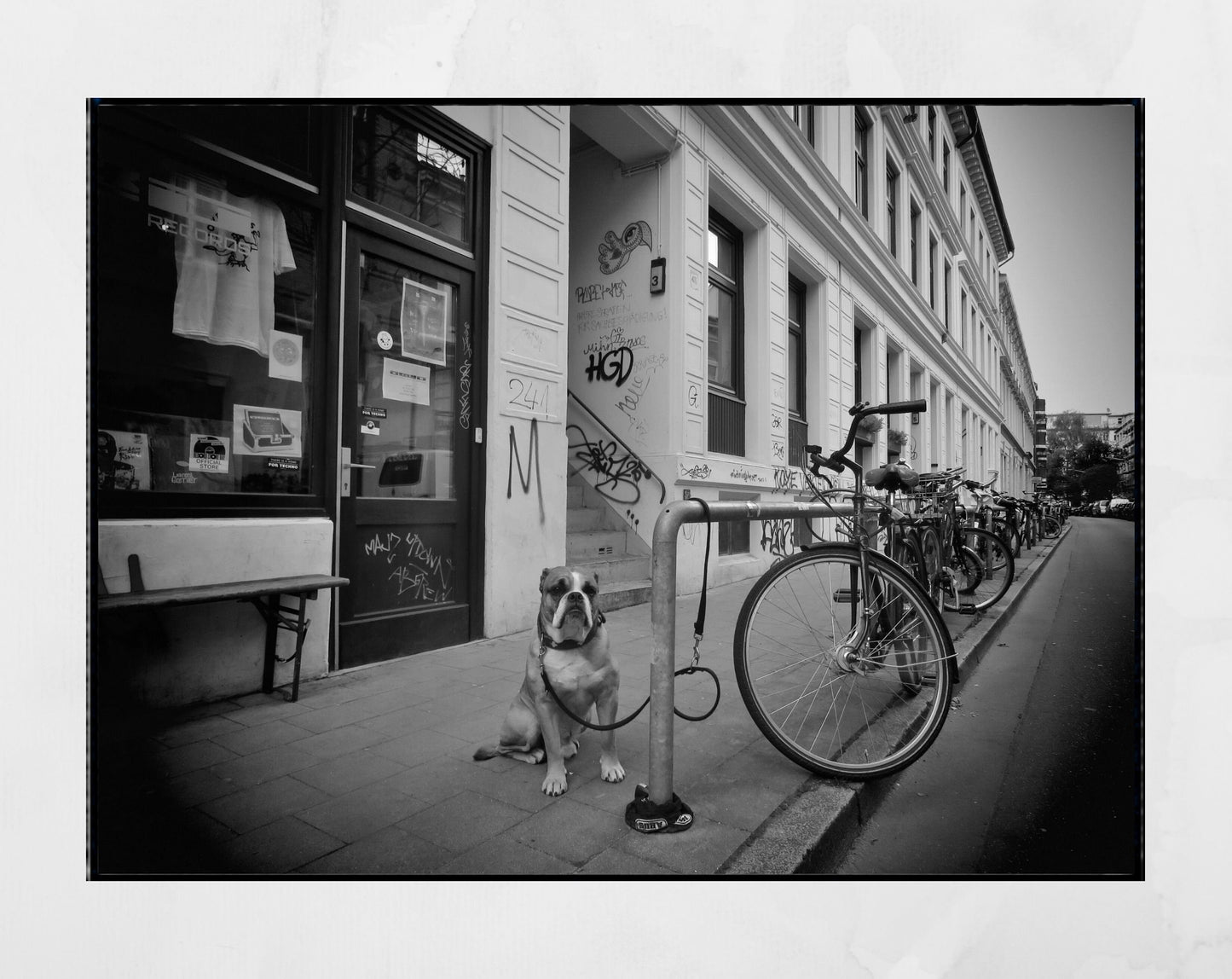 St Pauli Hamburg Print Dog Street Black And White Photography