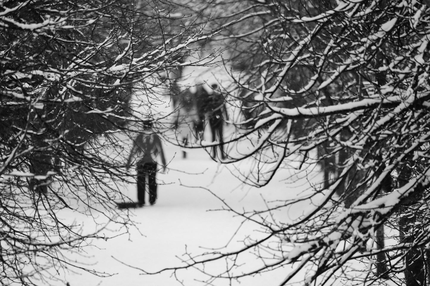 Queen's Park Glasgow Print Snow Winter Photography Black And White Wall Art