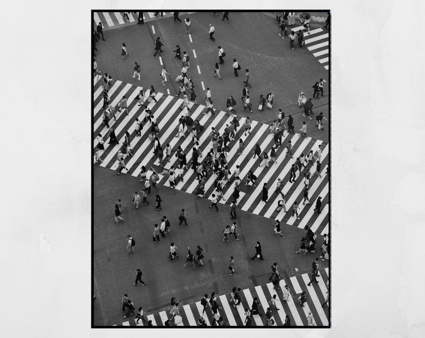 Shibuya Crossing Tokyo Black And White Photography Print Wall Art