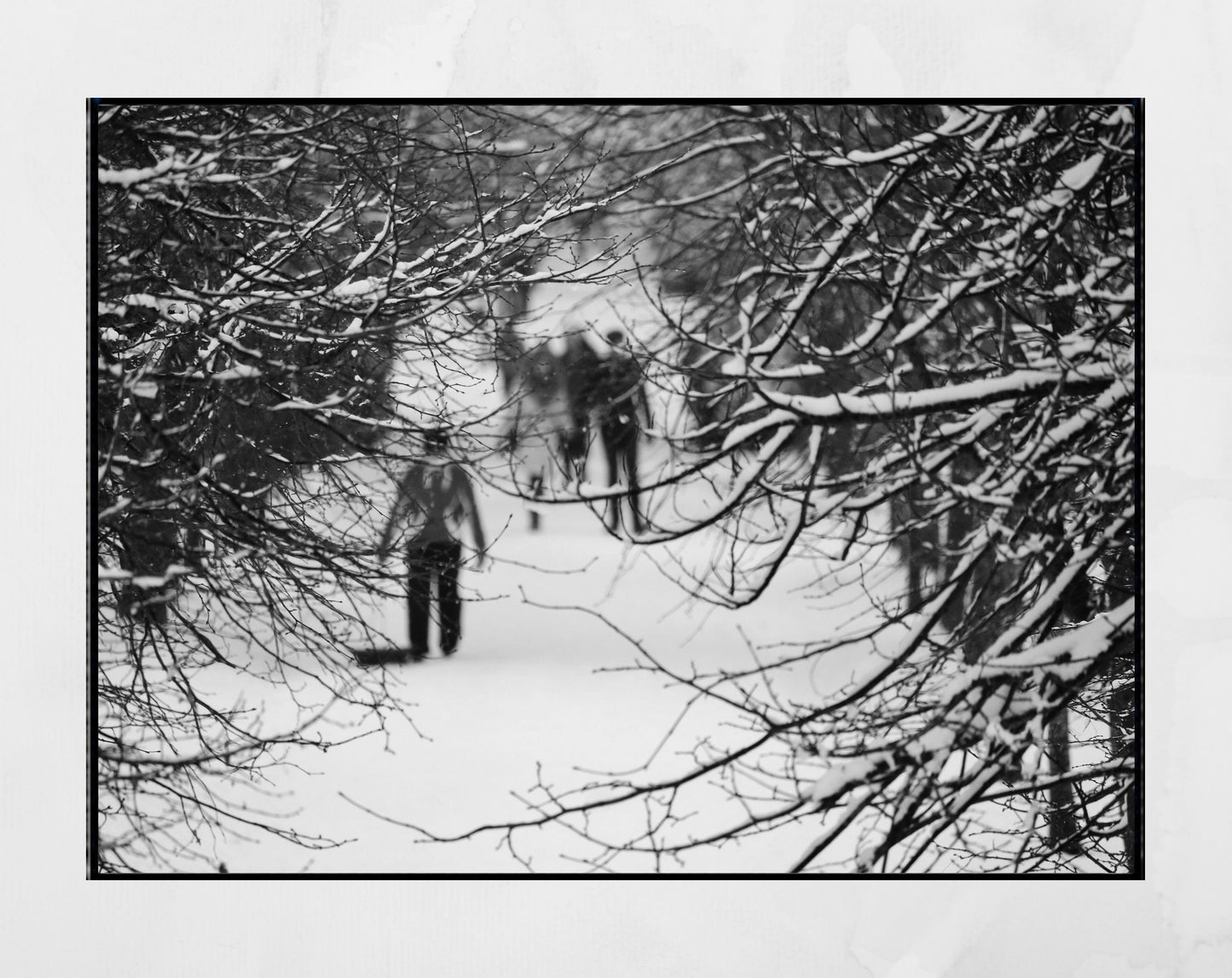 Queen's Park Glasgow Print Snow Winter Photography Black And White Wall Art