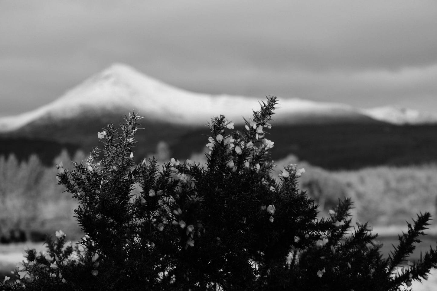 Isle of Arran Scotland Landscape Black And White Photography Print