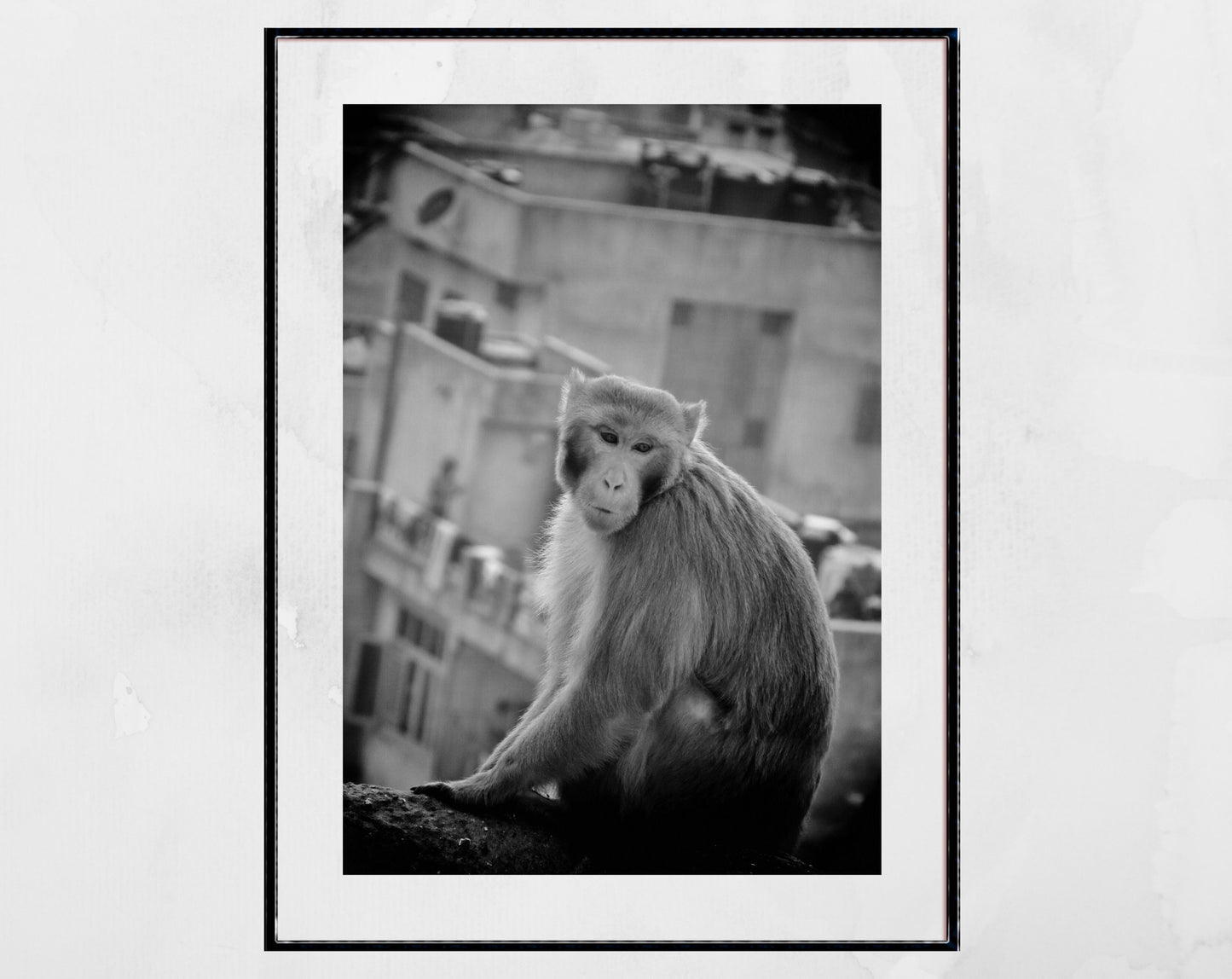 Monkey Print Jaipur India Black And White Wall Art