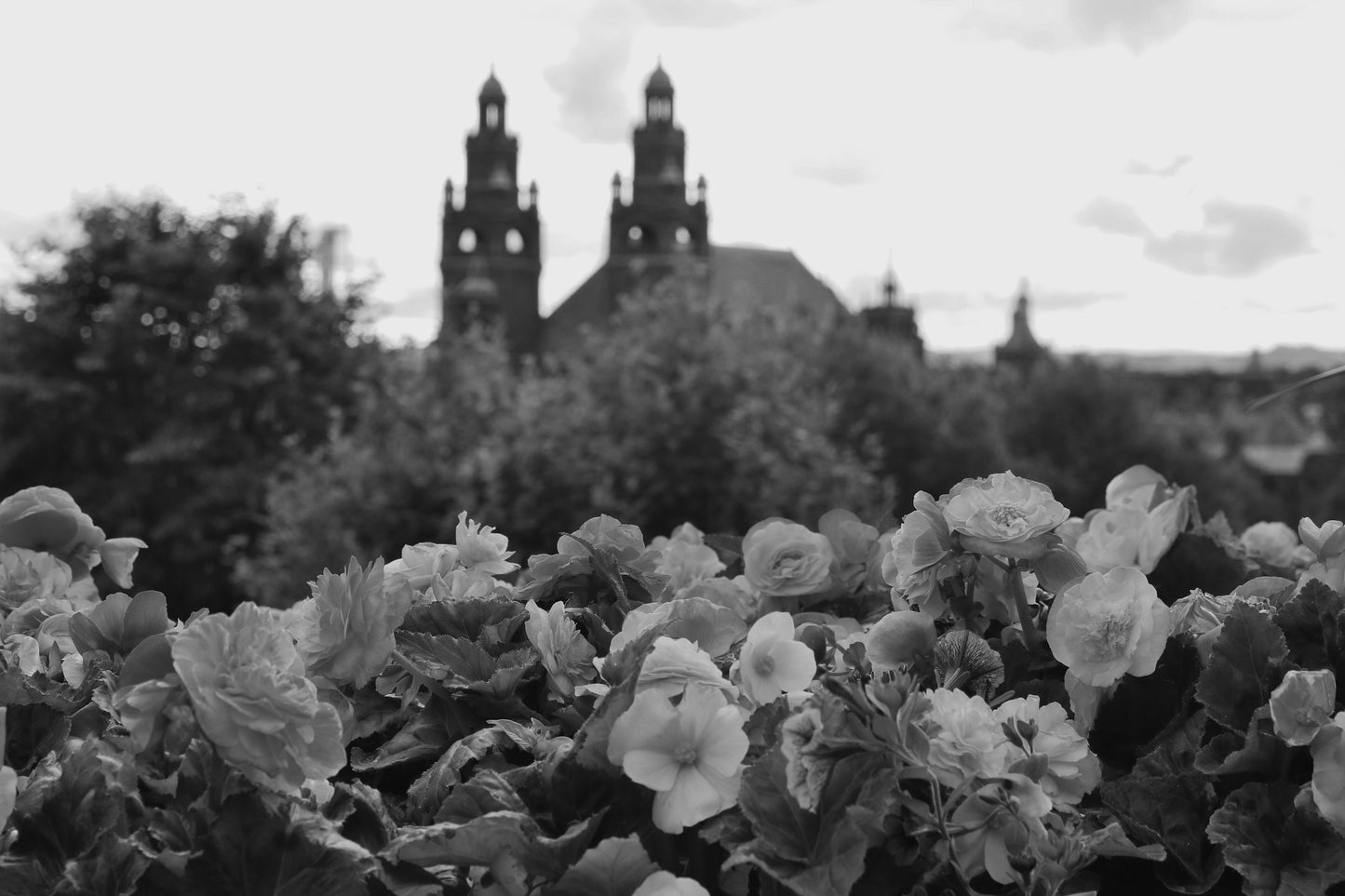 Kelvingrove Park Glasgow West End Black And White Photography Print