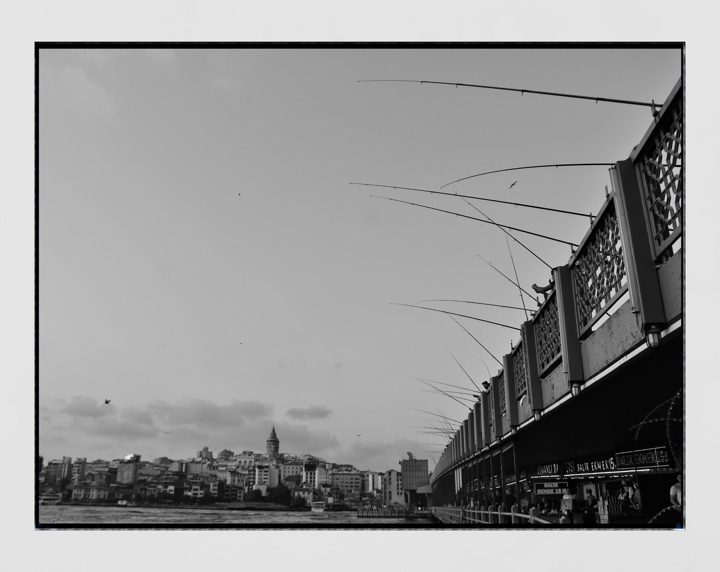 Istanbul Galata Bridge Fishing Black And White Photography Print Poster