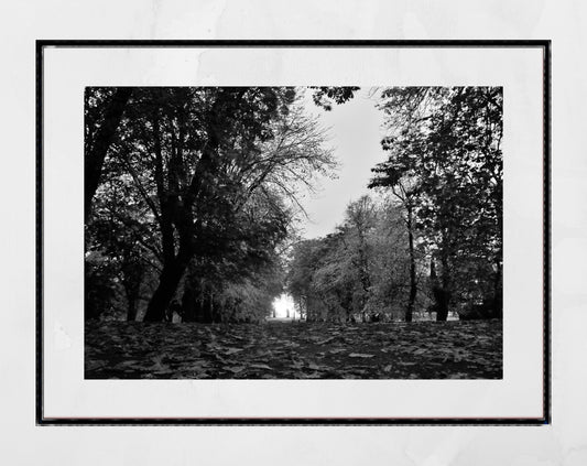 Autumn Fall Glasgow Queen's Park Black And White Photography Print