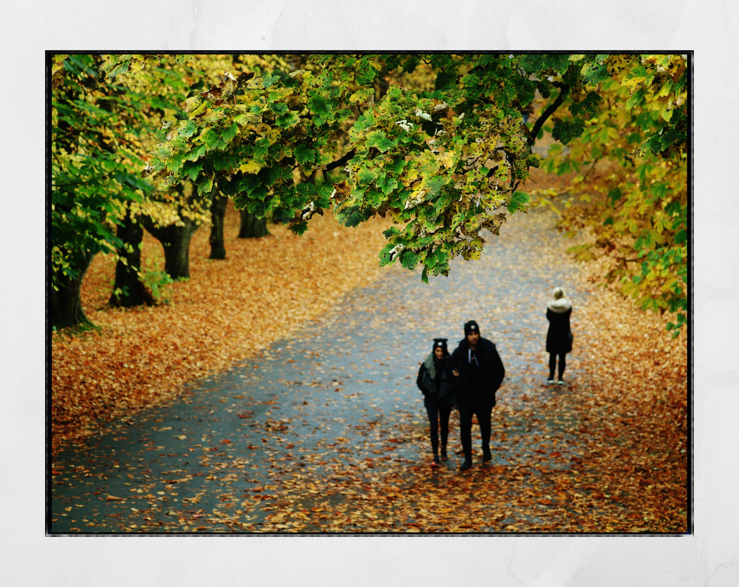 Autumn Fall Glasgow Queen's Park Photography Print Wall Art