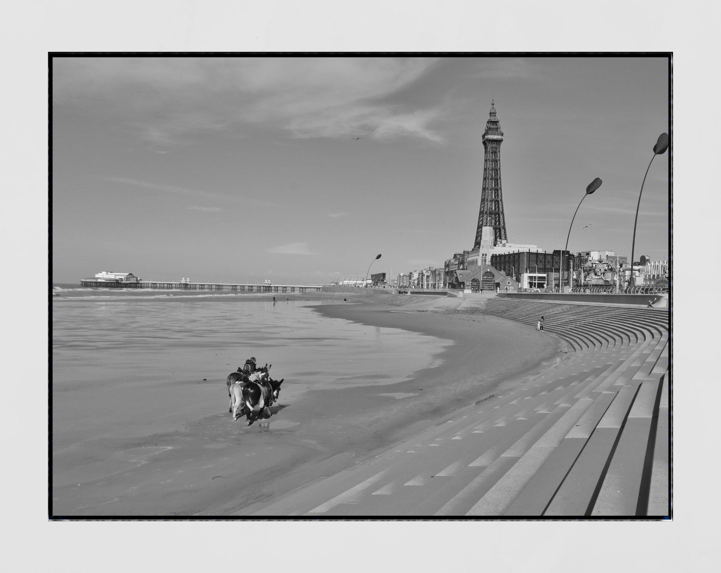 Blackpool Photography Print Blackpool Beach Donkey Ride Black And White Poster