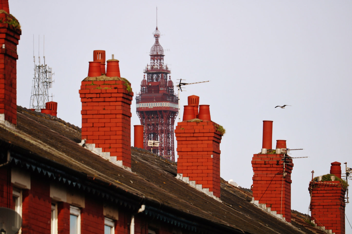 Blackpool Photography Print Blackpool Tower Poster