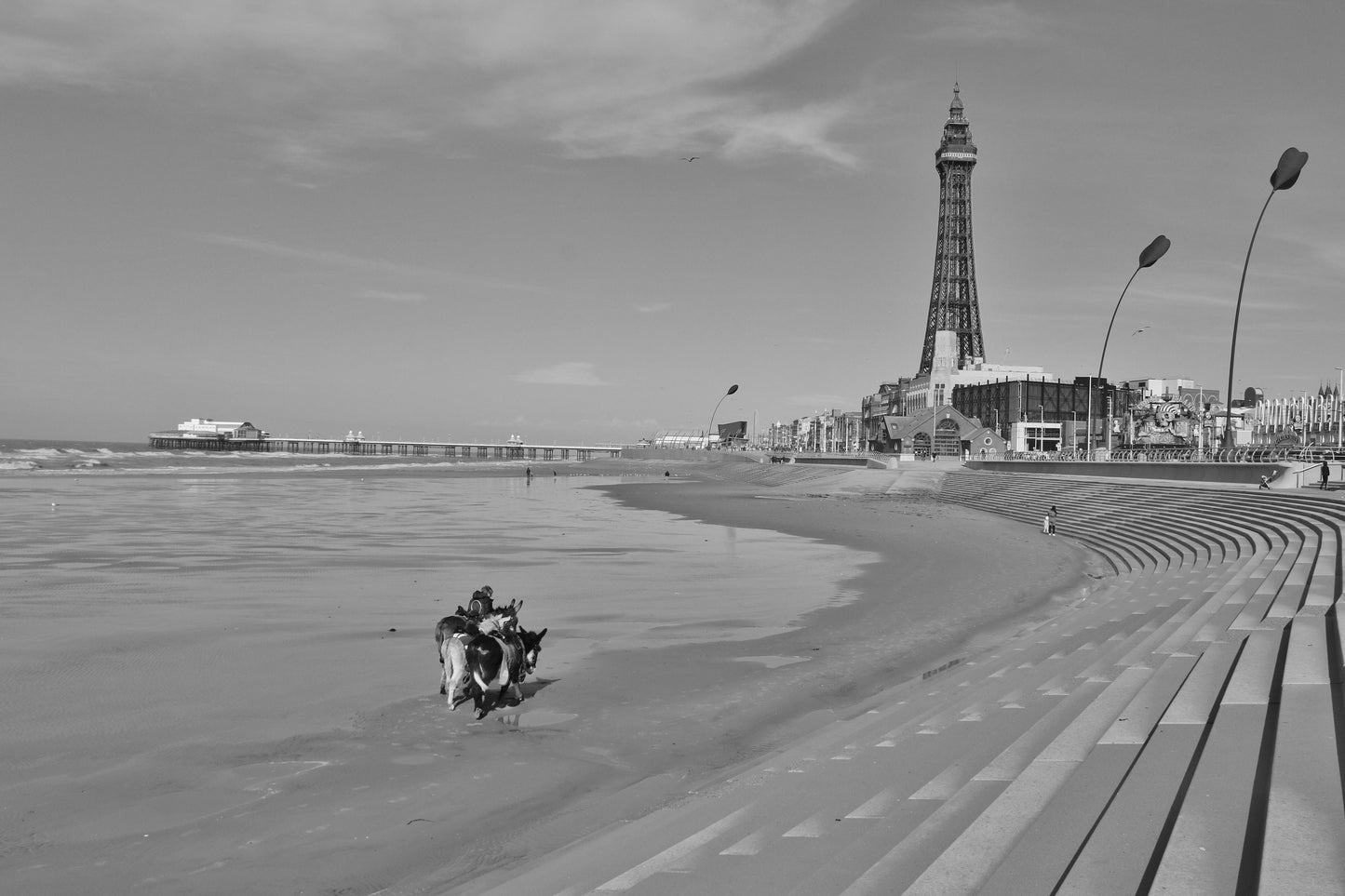 Blackpool Photography Print Blackpool Beach Donkey Ride Black And White Poster